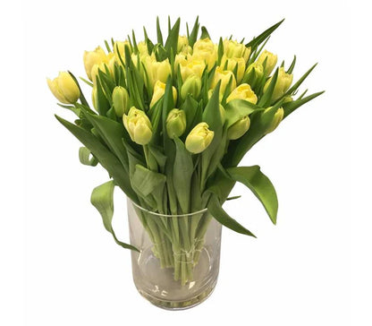 Gelbe Tulpen