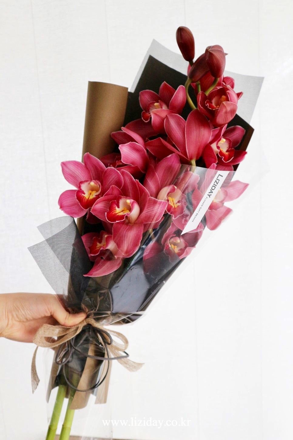 Cymbidium Orchidee