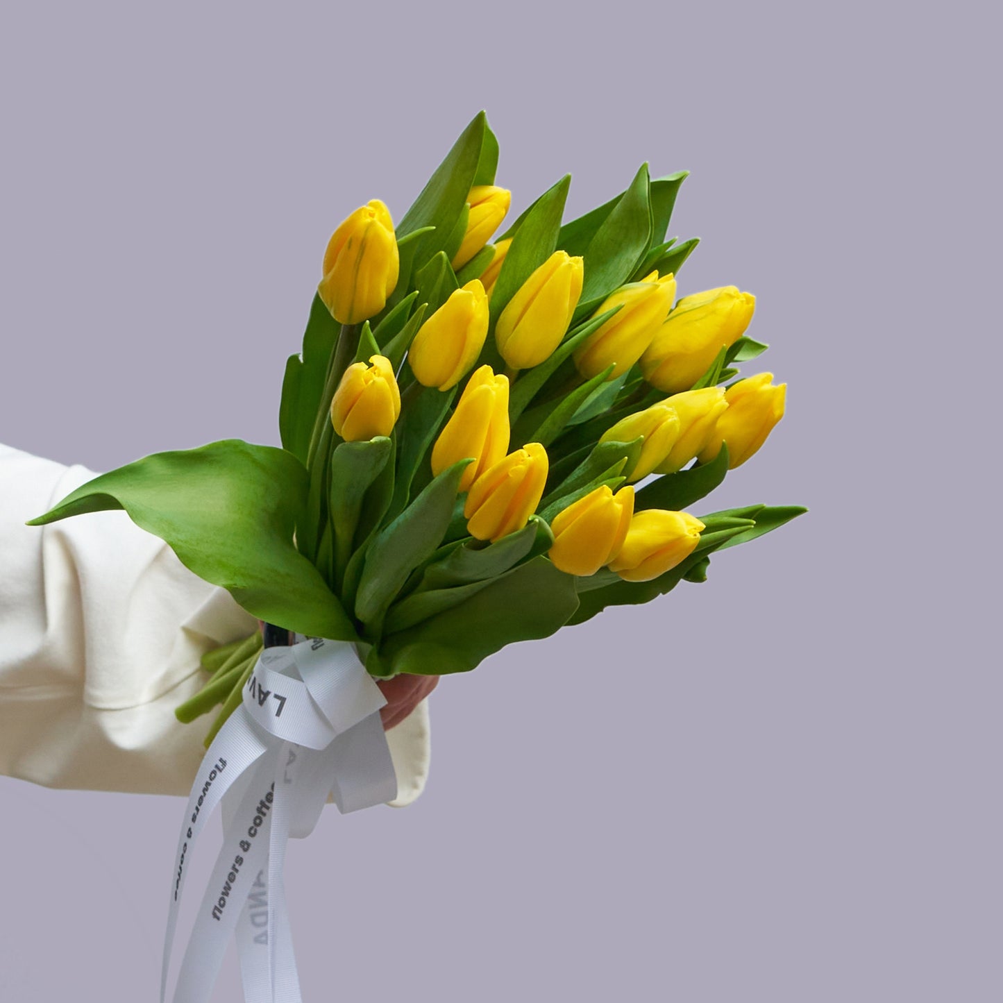 Gelbe Tulpen
