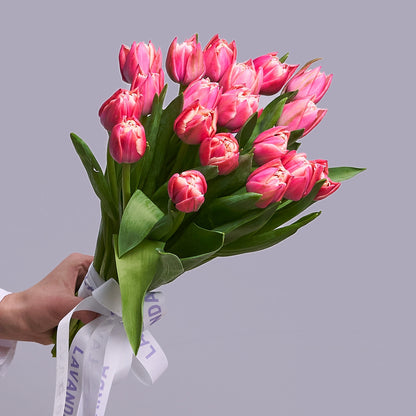 Rosa Tulpen