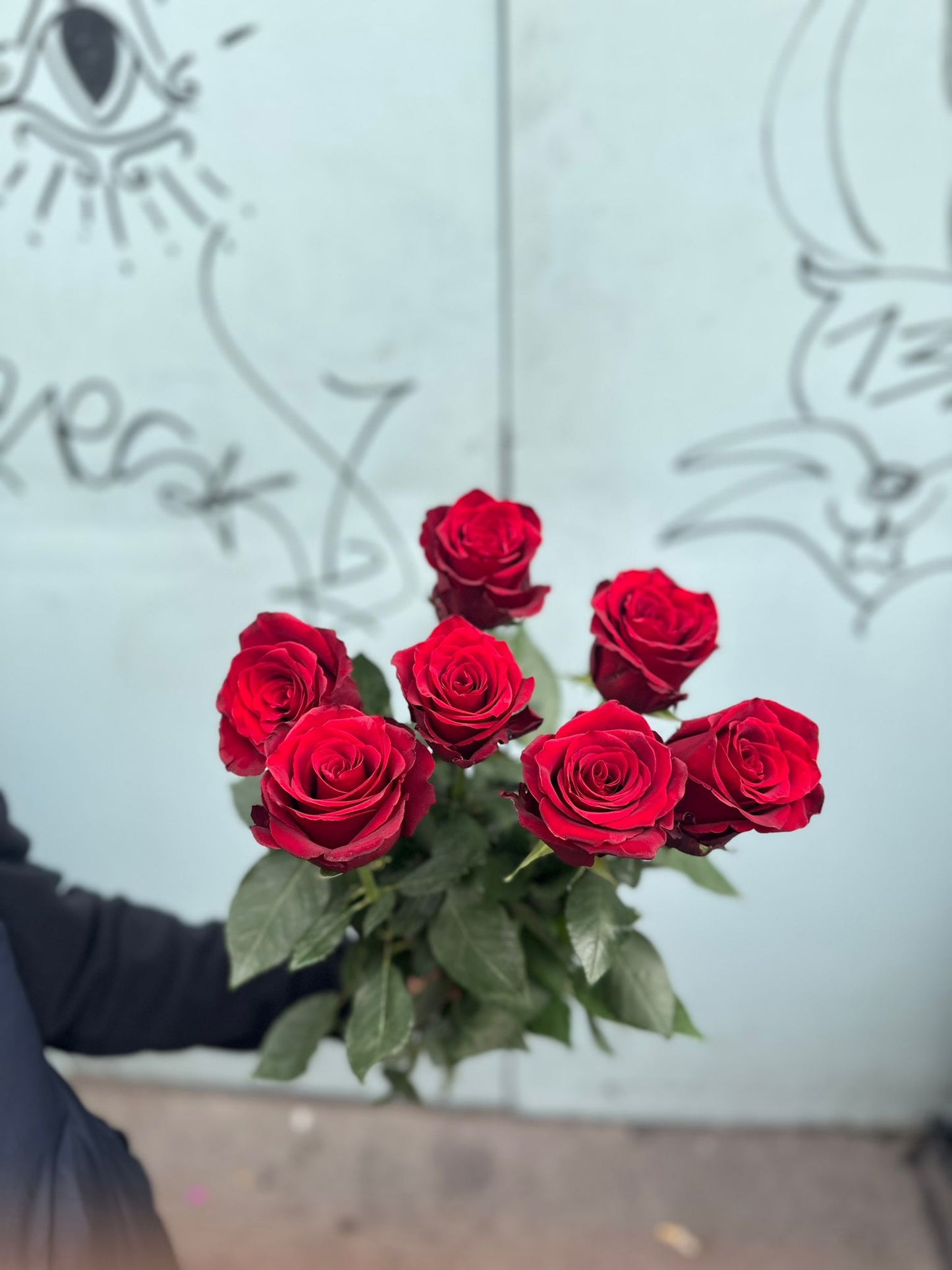Explorer Rosen (dunkel rote Rosen )