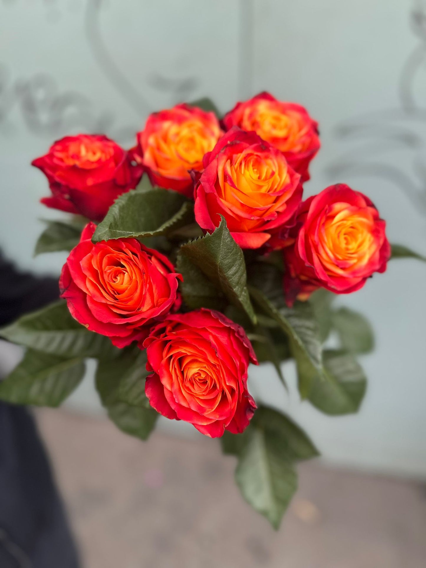 Atomic Rosen (Rot und Orange Rosen)