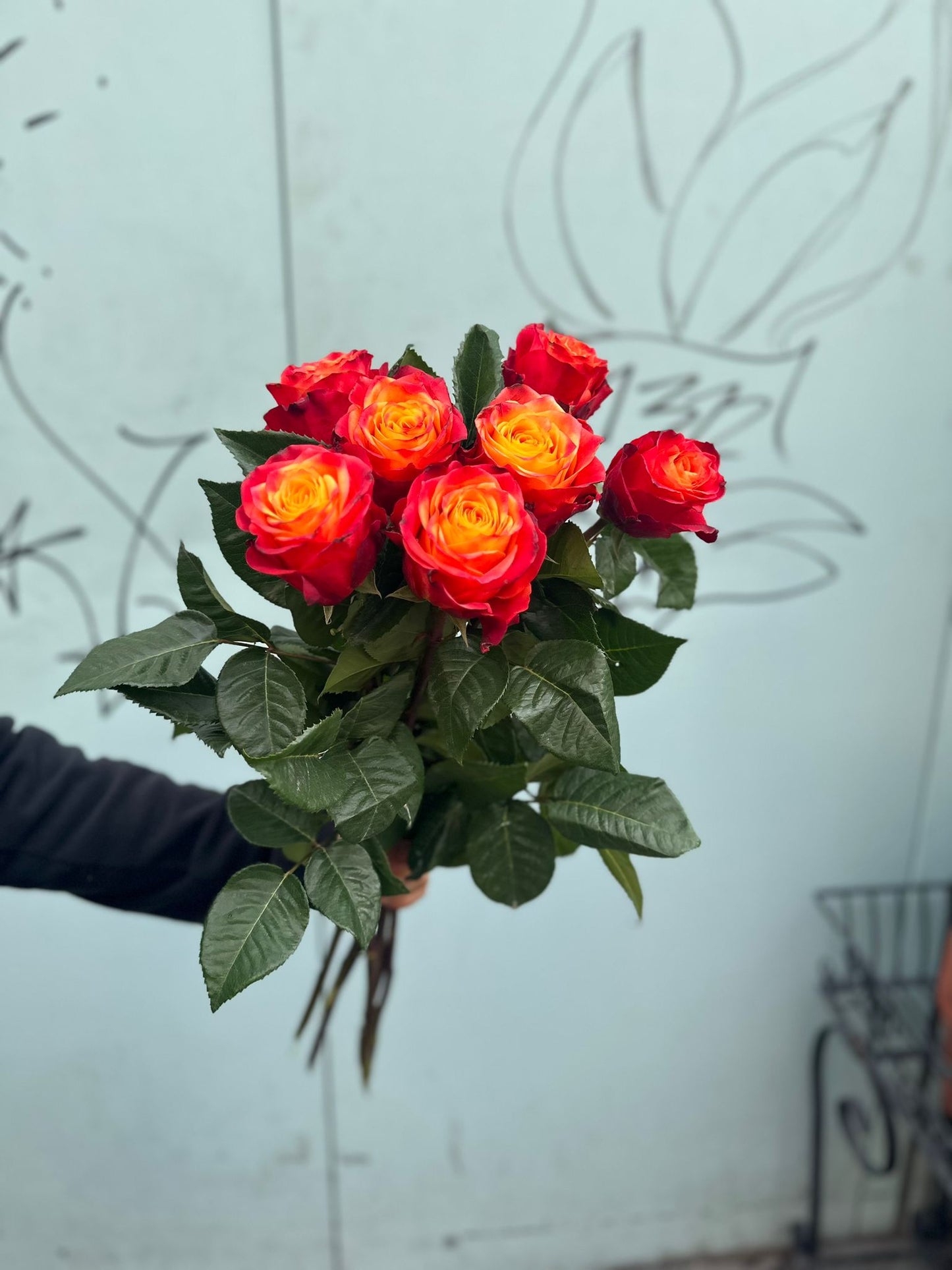 Atomic Rosen (Rot und Orange Rosen)