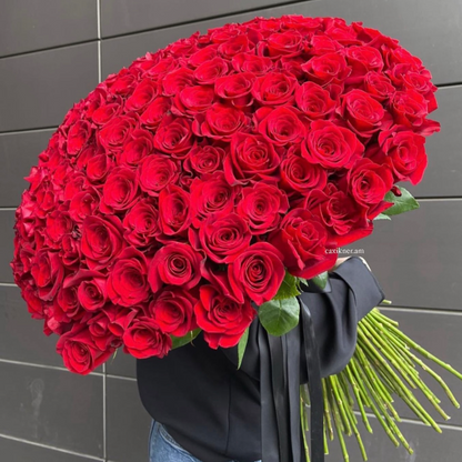 101 Premium-Rosen Red Naomi (Rot)