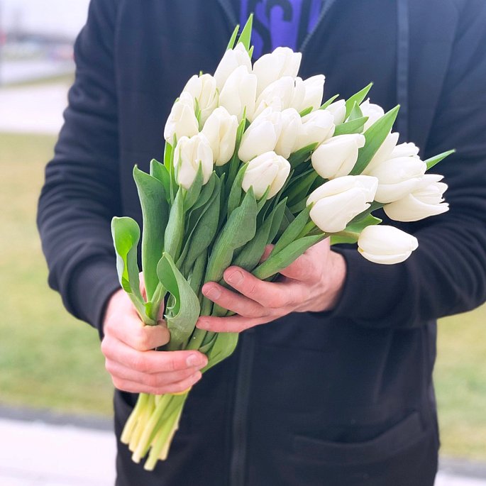 Weiße Tulpen