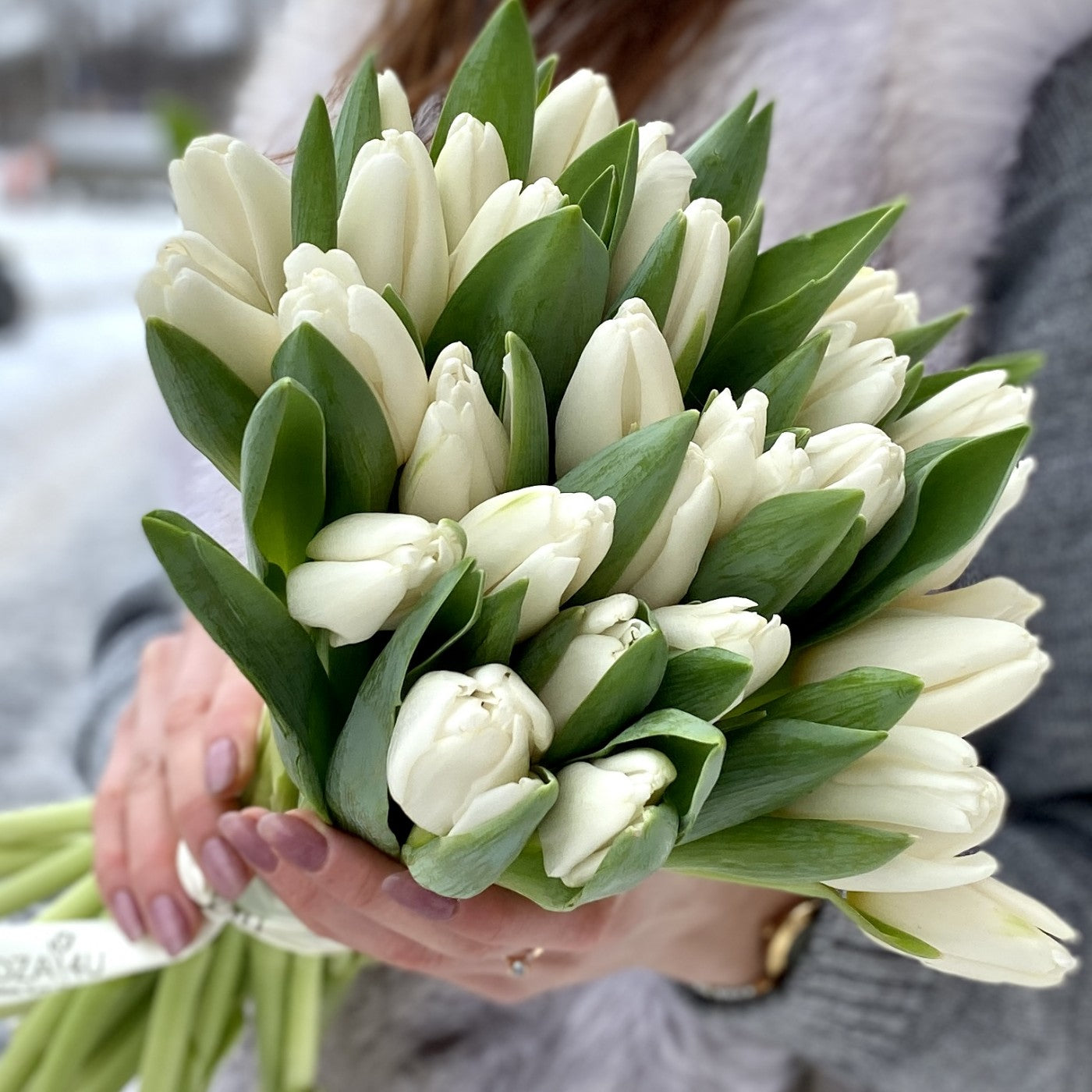 Weiße Tulpen